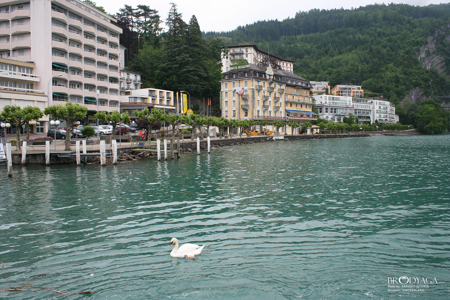 Brunnen